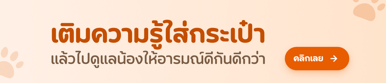 ลงทะเบียนธุรกิจกับ maaboom