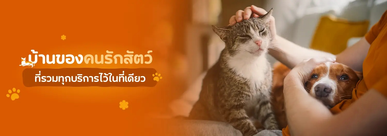 บ้านของคนรักสัตว์ ที่รวมบริการไว้ในที่เดียว