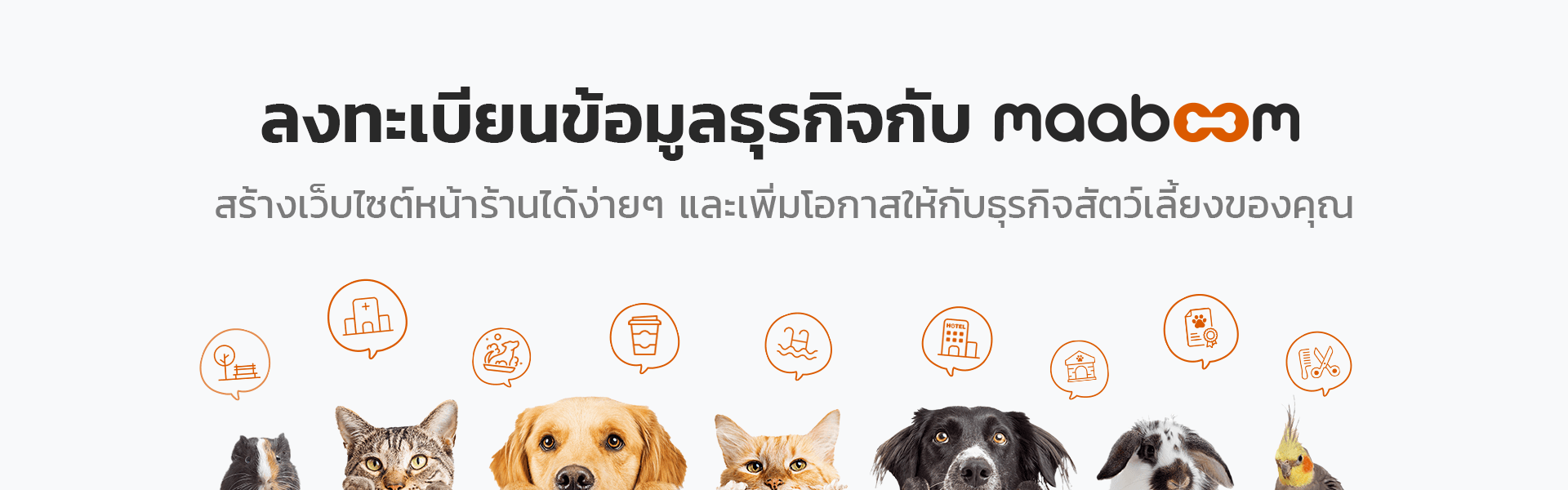 Mobile Banner Image