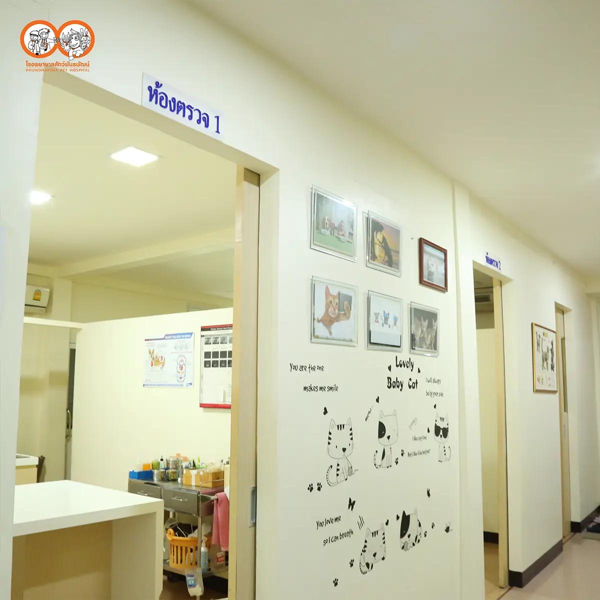 Program ตรวจสุขภาพ