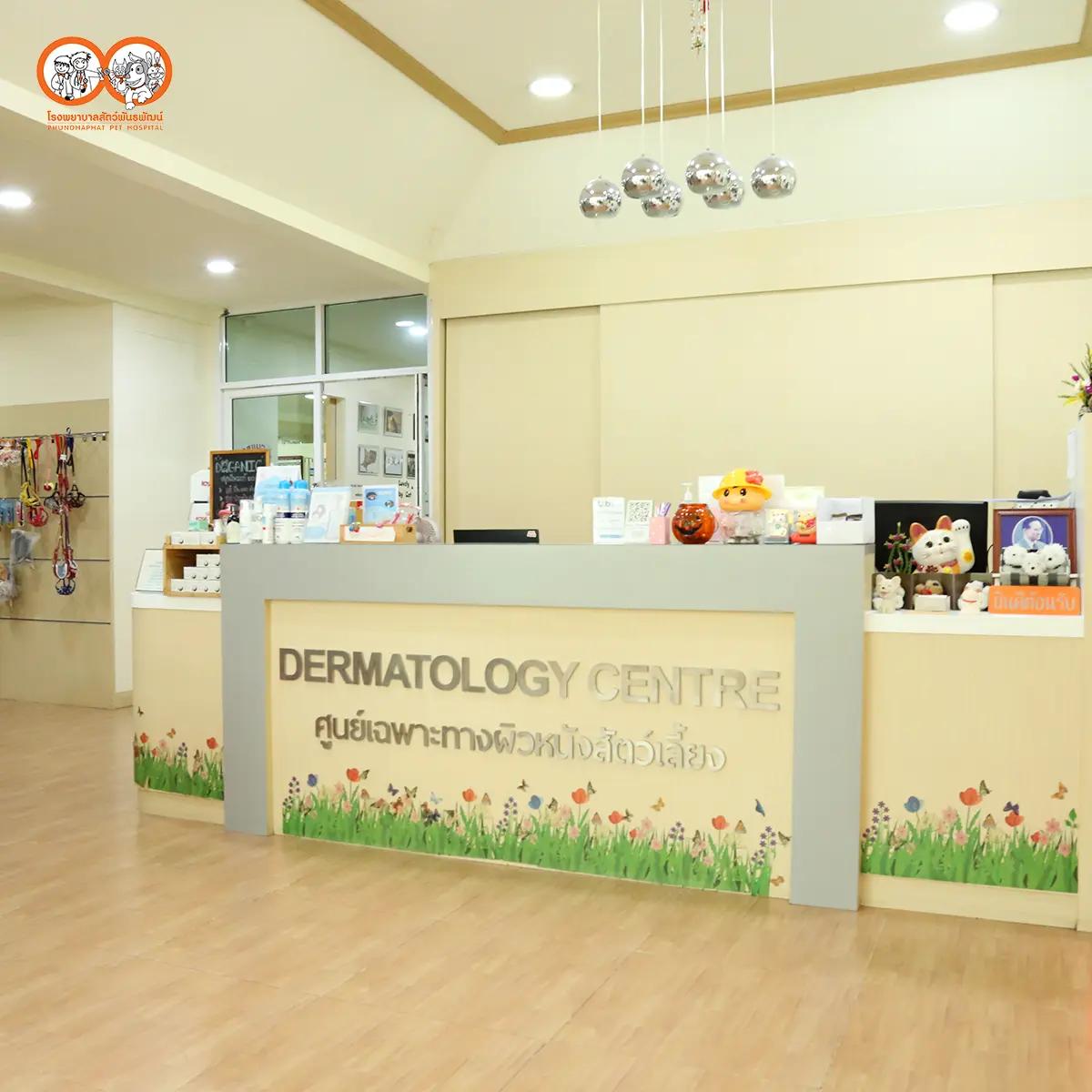 บริการอาบน้ำ (สำหรับแมว) ราคาโปรโมชั่น