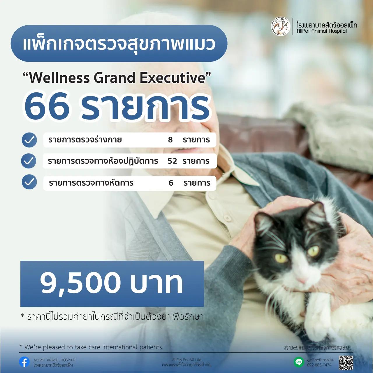 ตรวจสุขภาพ น้องแมว ประจำปี แพ็คเกจ Wellness Grand Executive