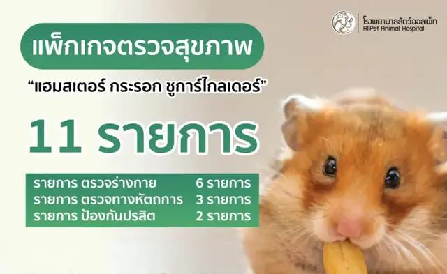แพ็คเกจ ตรวจสุภาพ แฮมเตอร์ชูการ์ไกลเดอร์ และกระรอก