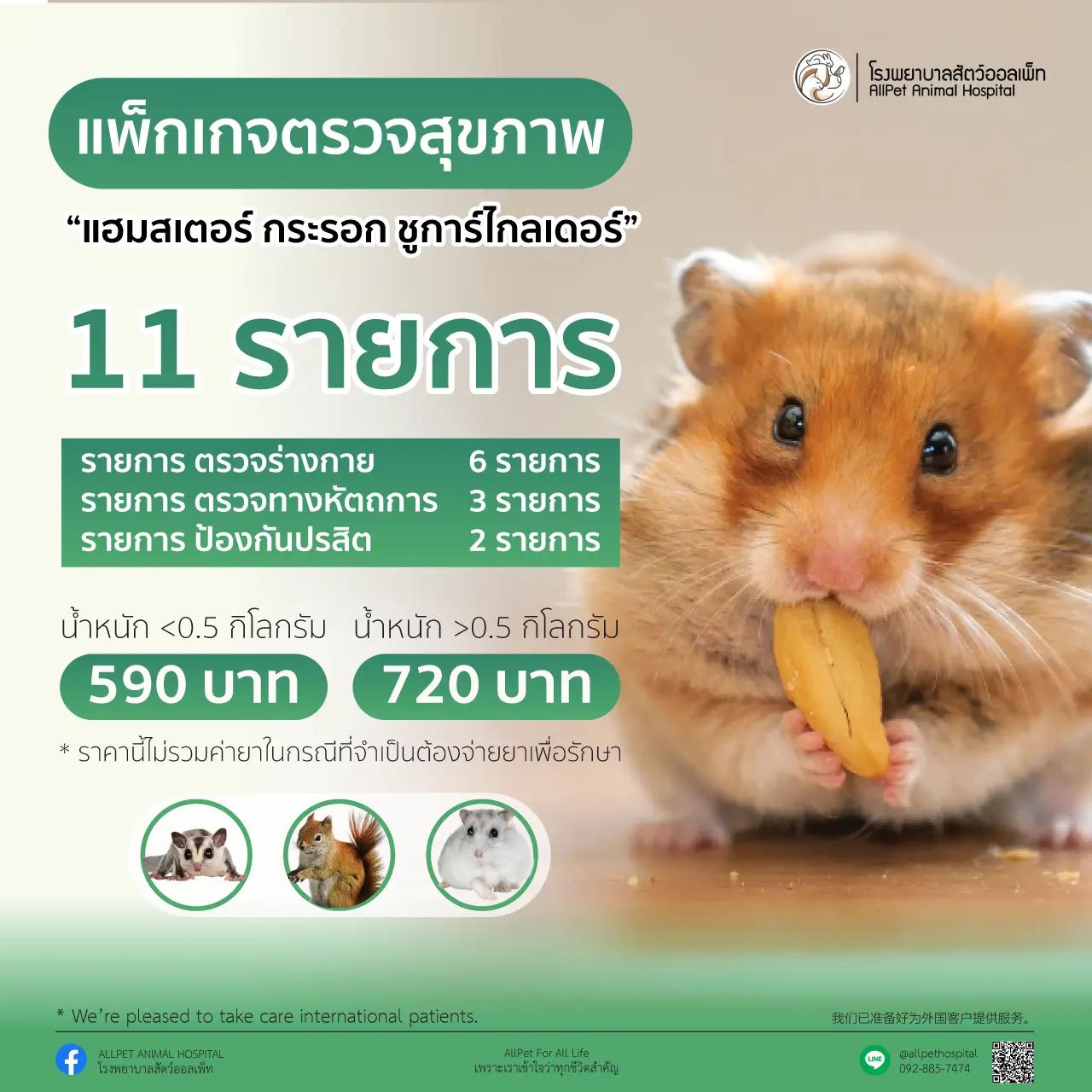 แพ็คเกจ ตรวจสุภาพ แฮมเตอร์ชูการ์ไกลเดอร์ และกระรอก น้ำหนักมากกว่า 05 กิโลกรัม