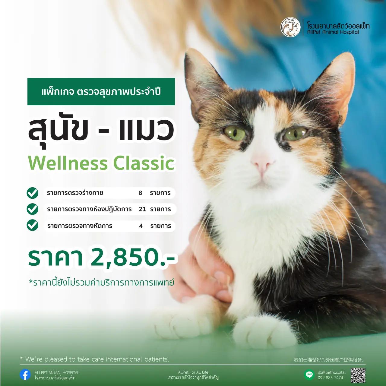 ตรวจสุขภาพประจำปี แพ็คเกจ Wellness Classic