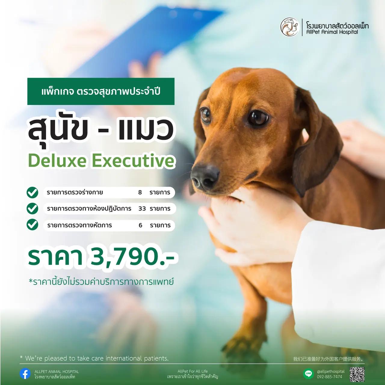 ตรวจสุขภาพประจำปี แพ็คเกจ Deluxe Executive