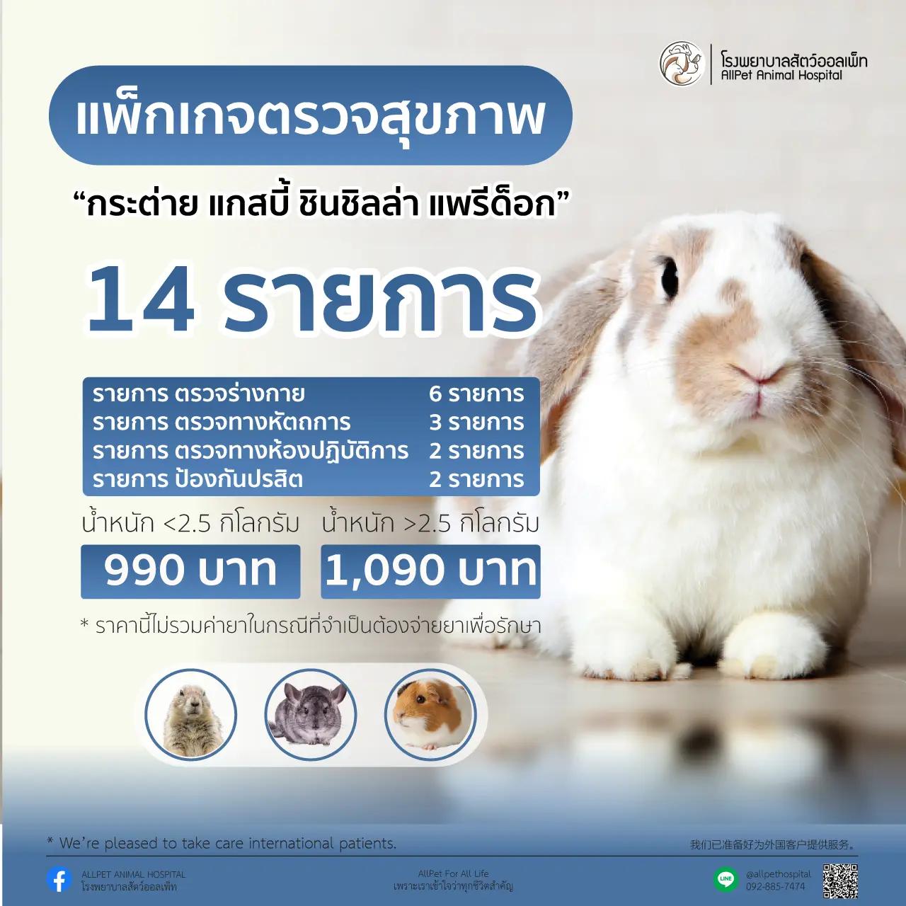 แพ็คเกจ ตรวจสุภาพ กระต่าย แกสบี้ ชินชิลล่า และแพรี่ด็อก