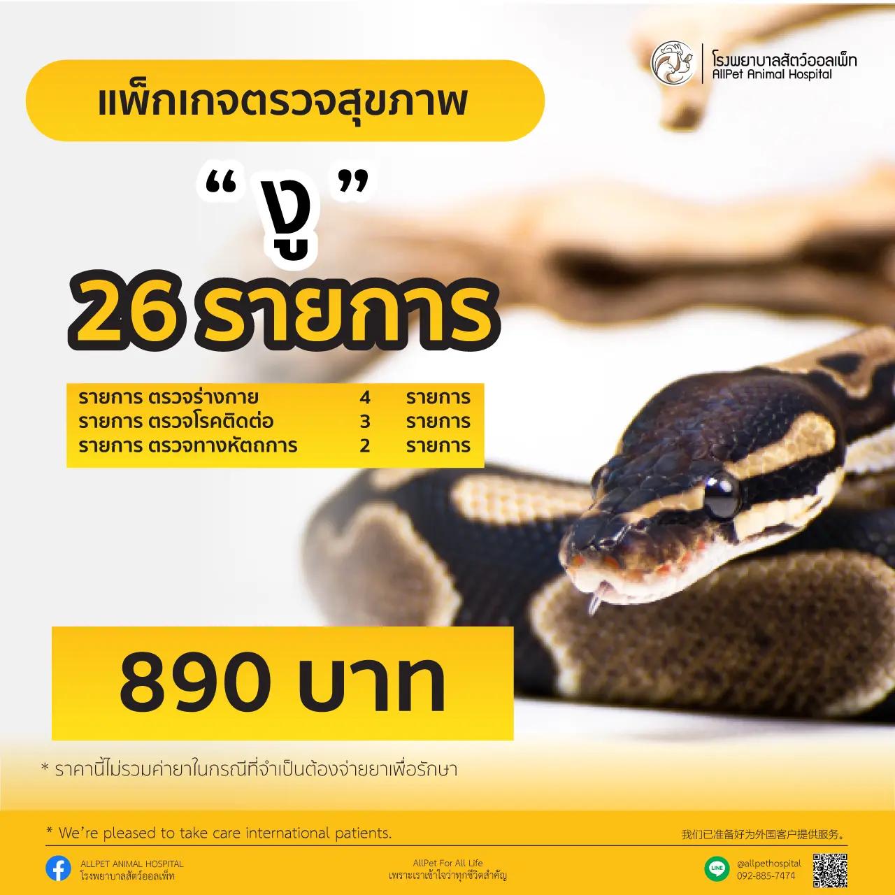 แพ็คเกจ ตรวจสุภาพ งู