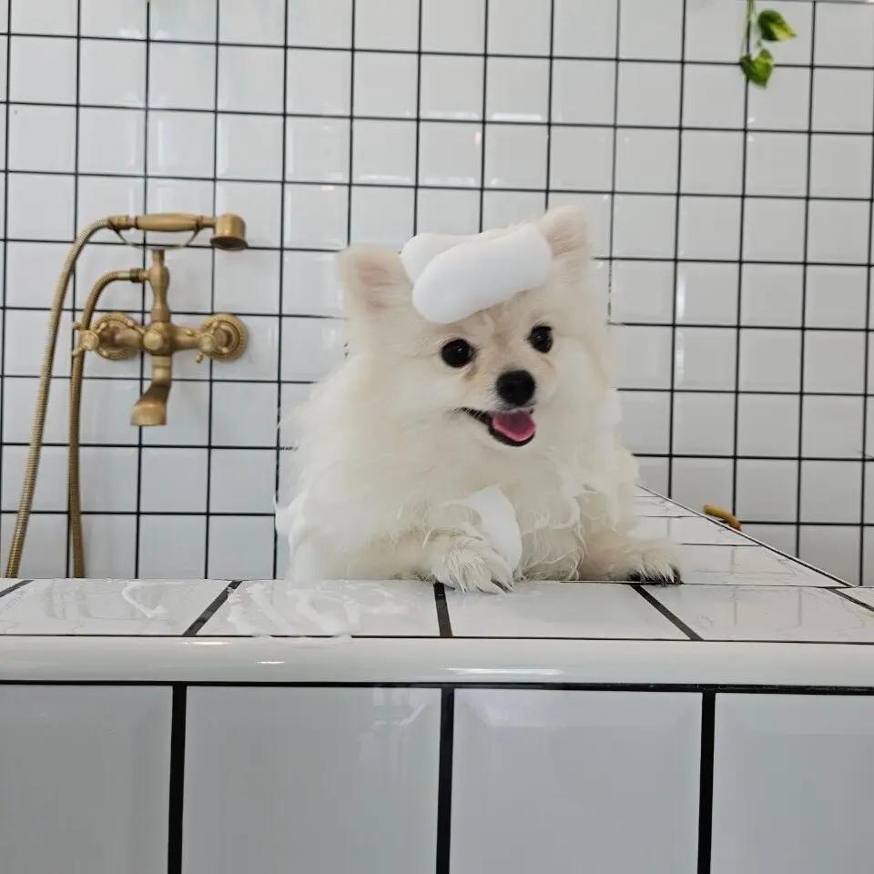 Hair Styling (Double hair coat)