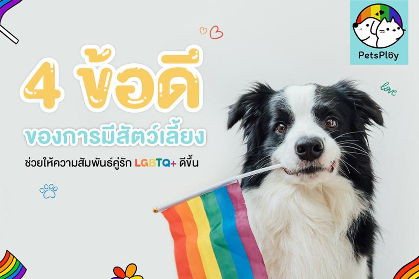 Article Banner