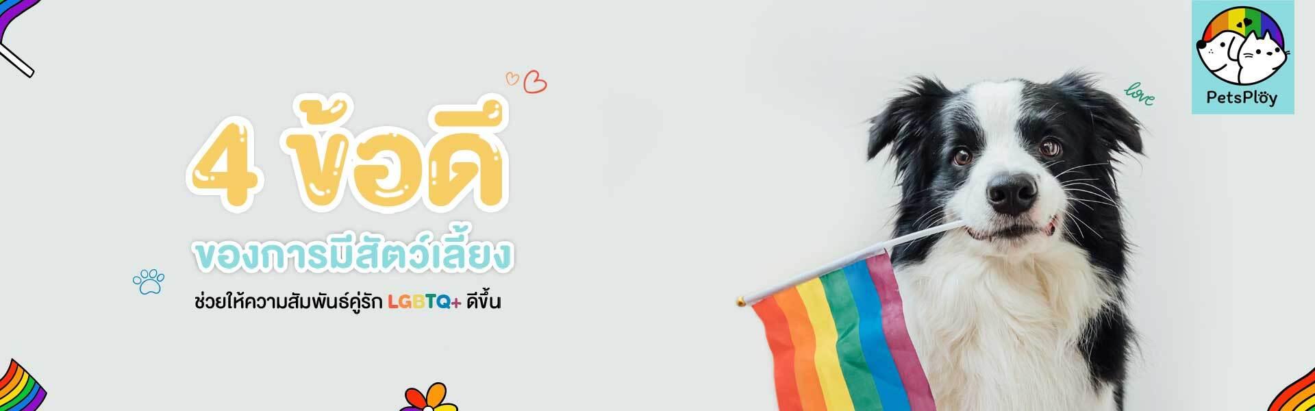 Article Banner