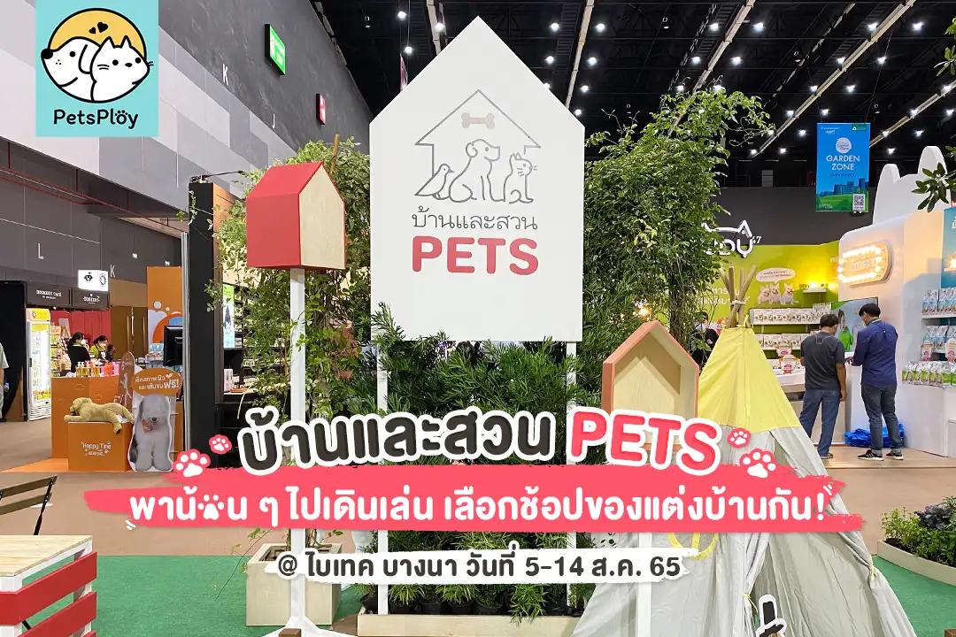 Article Banner