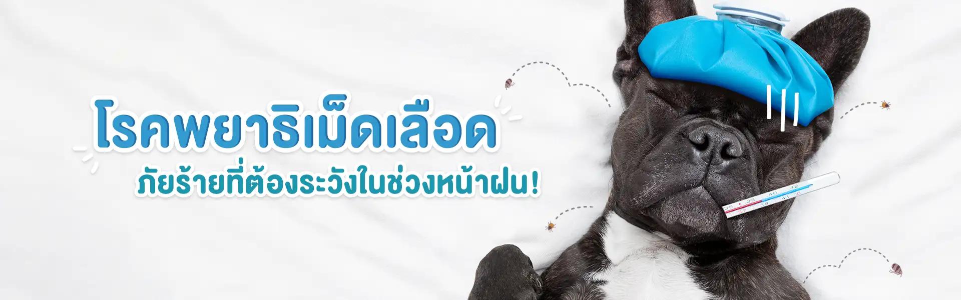 Article Banner