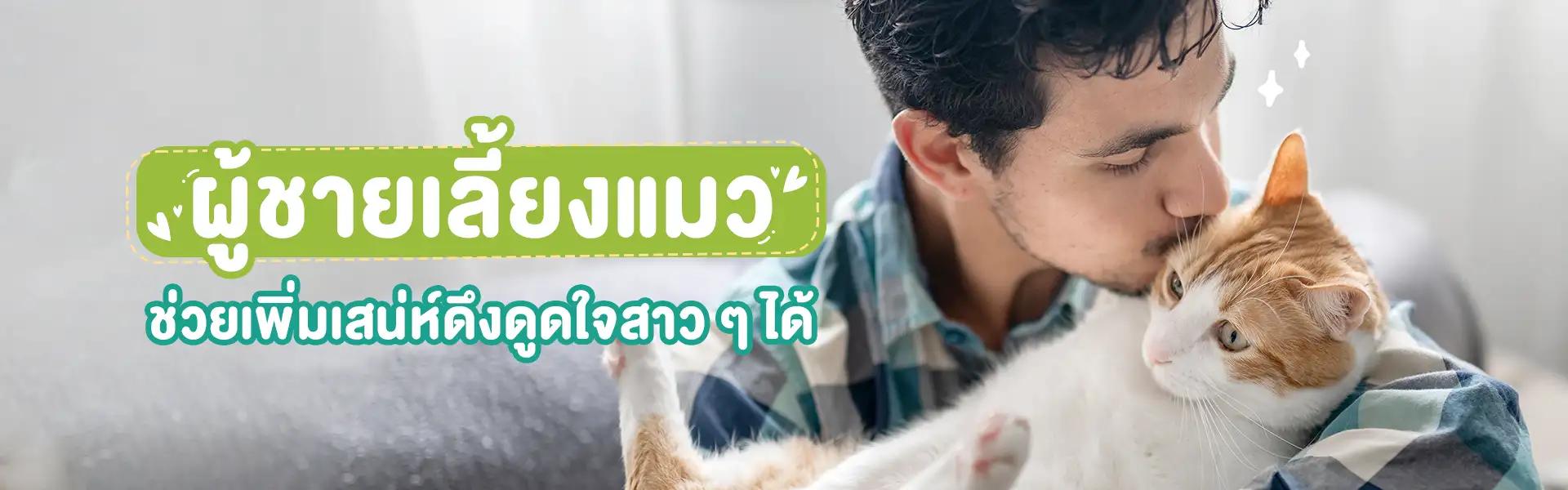 Article Banner