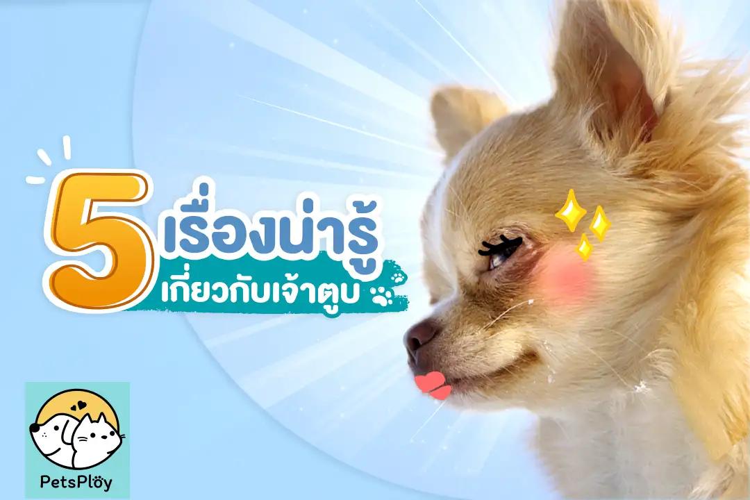 Article Banner