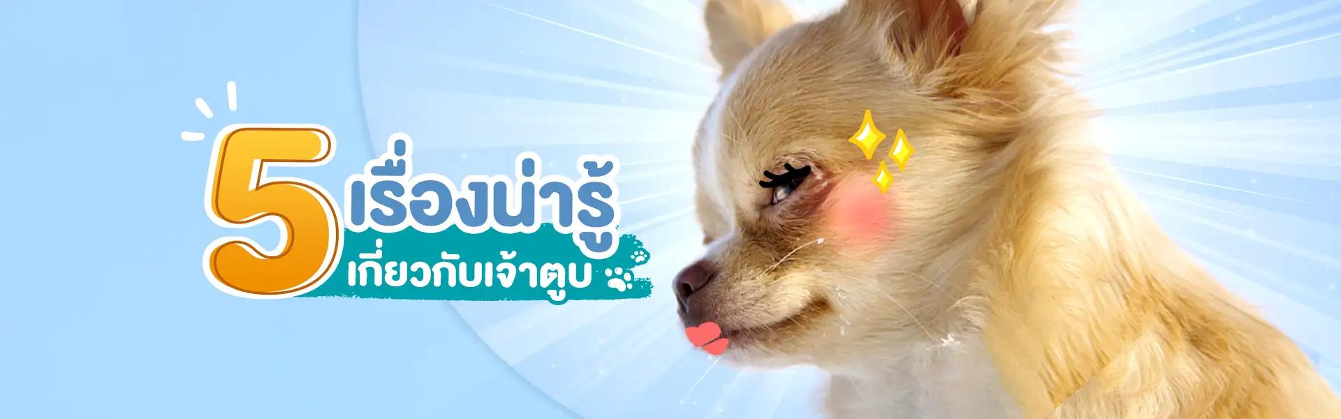 Article Banner