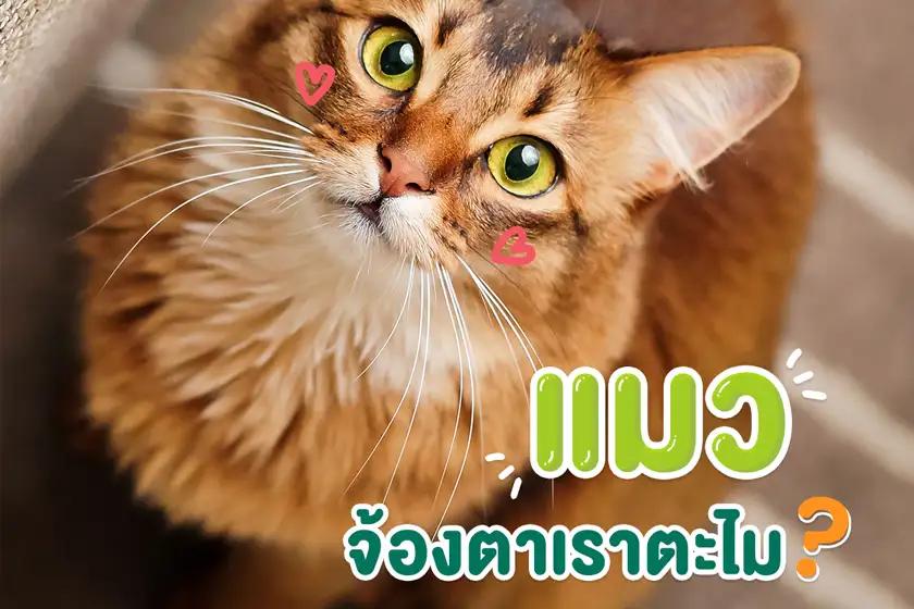 Article Banner
