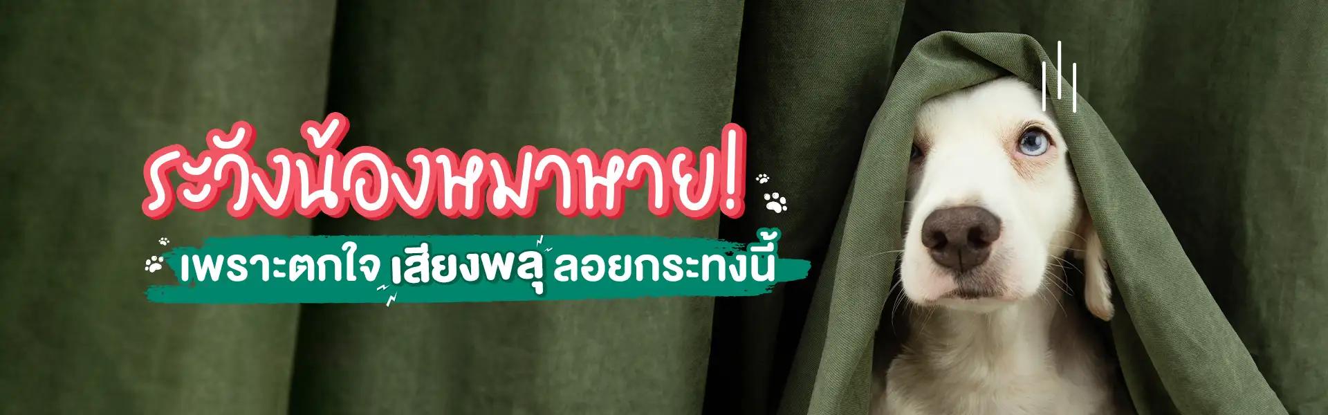 Article Banner