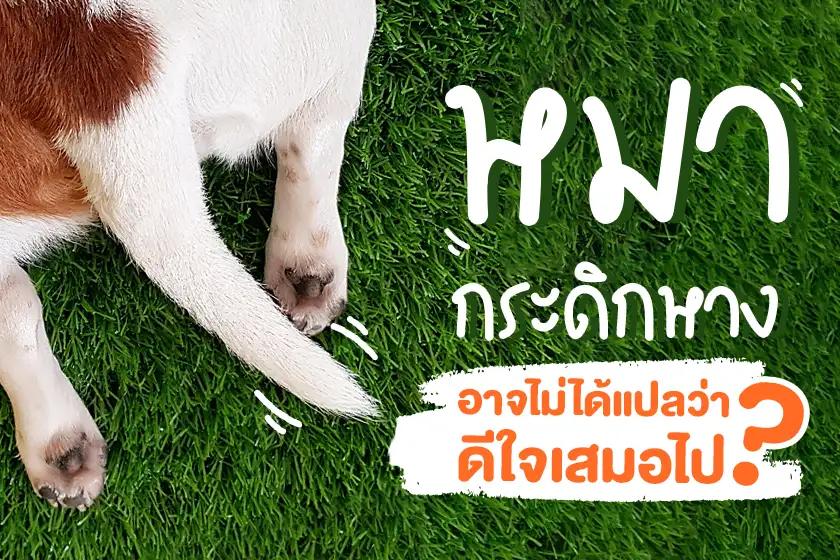 Article Banner