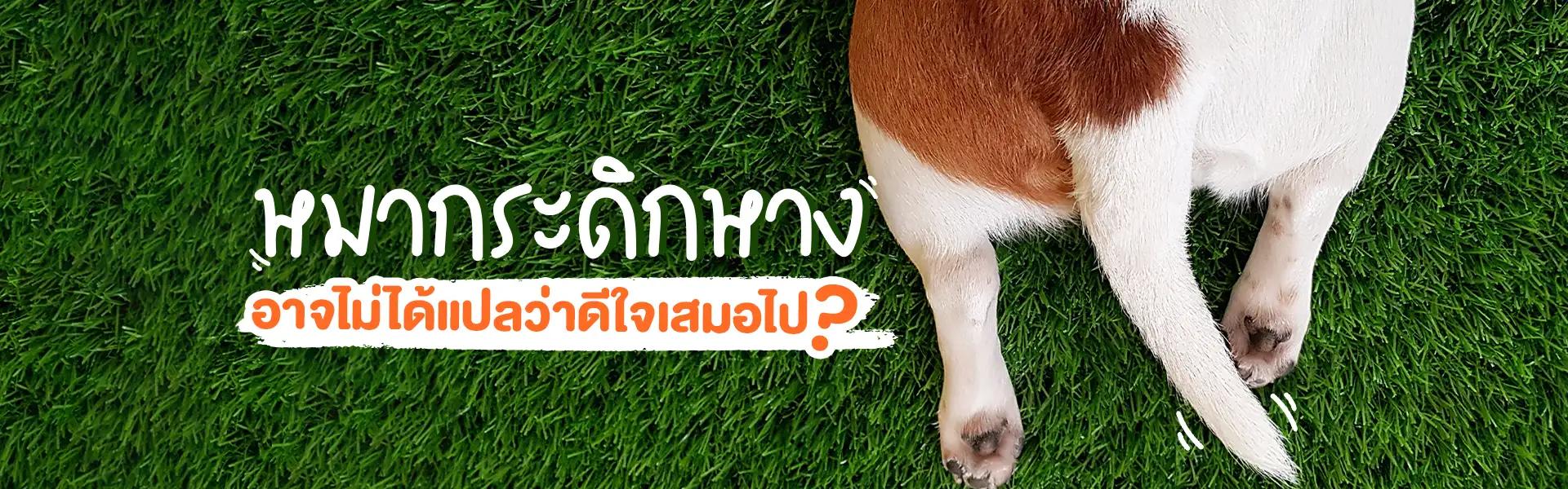 Article Banner