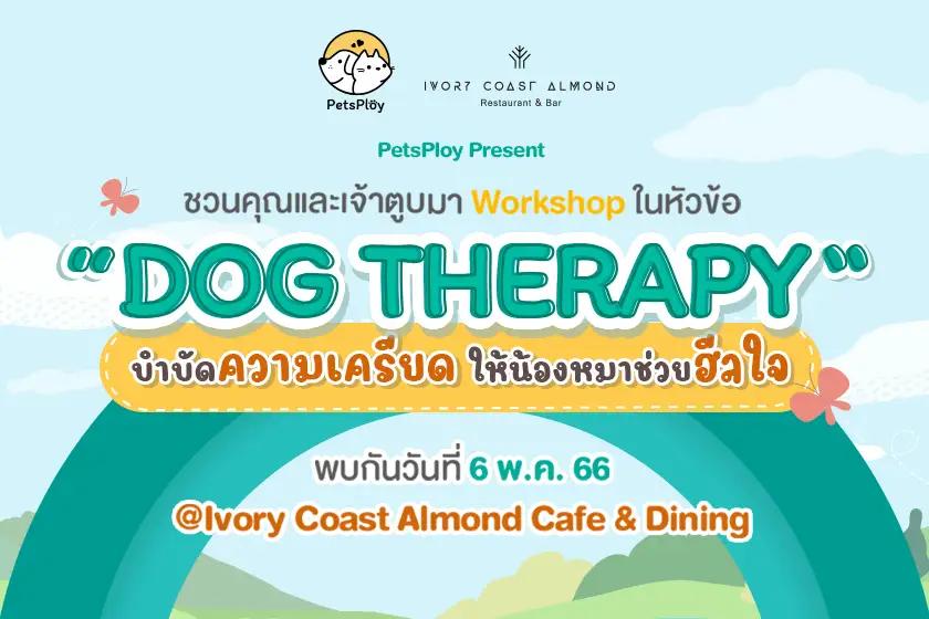Article Banner