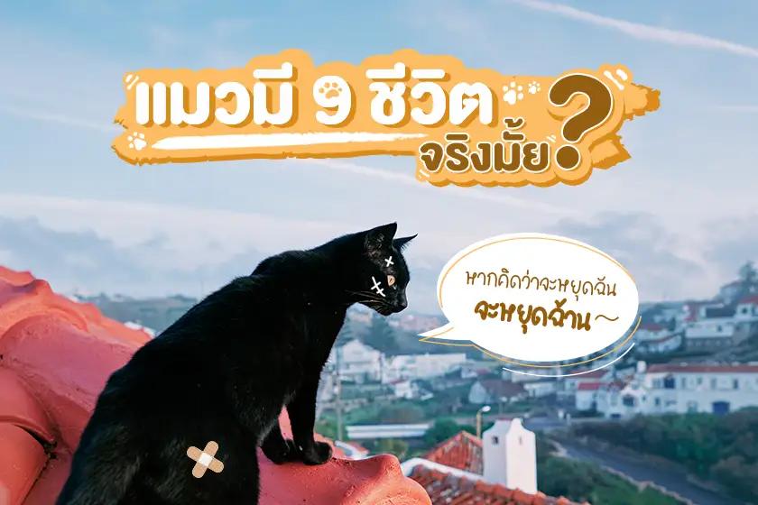 Article Banner