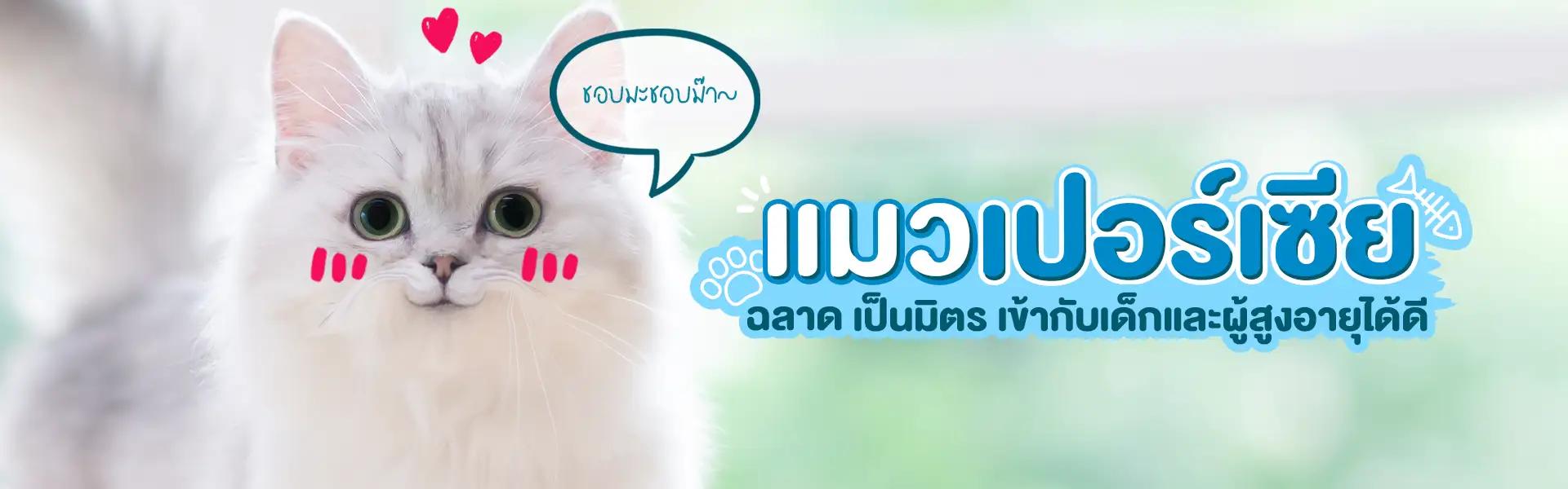 Article Banner