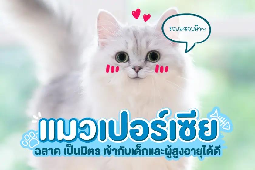 Article Banner