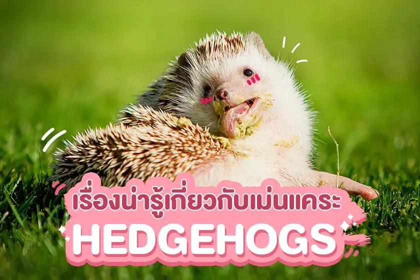 Article Banner