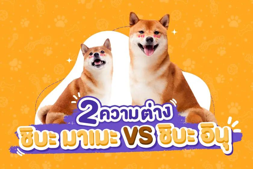 Article Banner
