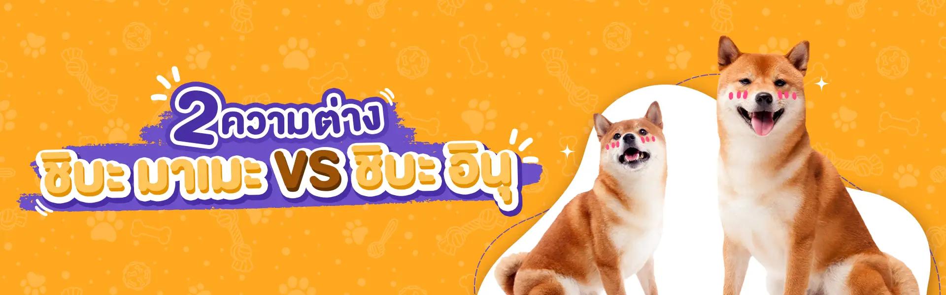 Article Banner