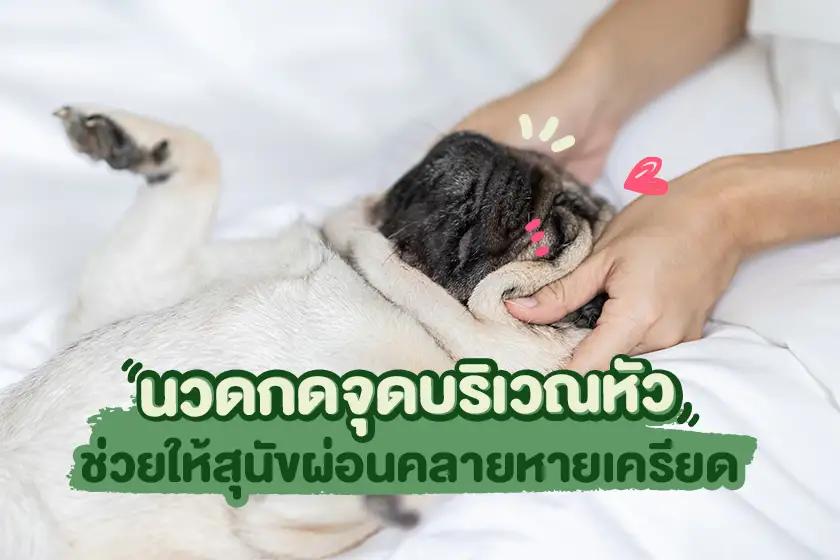 Article Banner