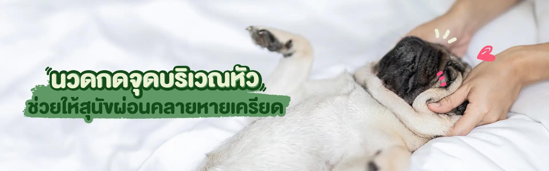 Article Banner