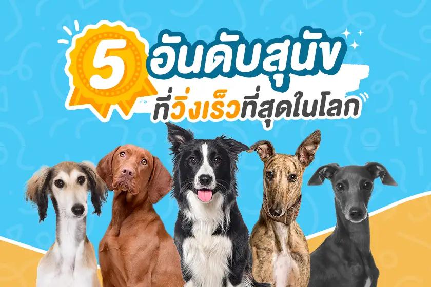 Article Banner