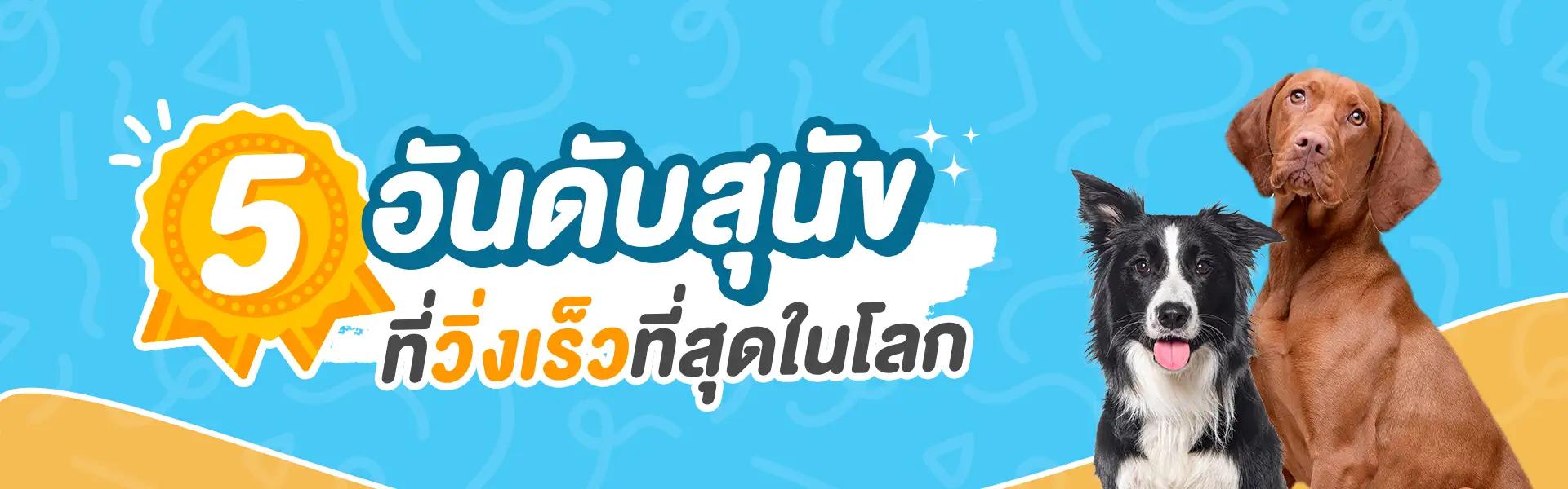 Article Banner