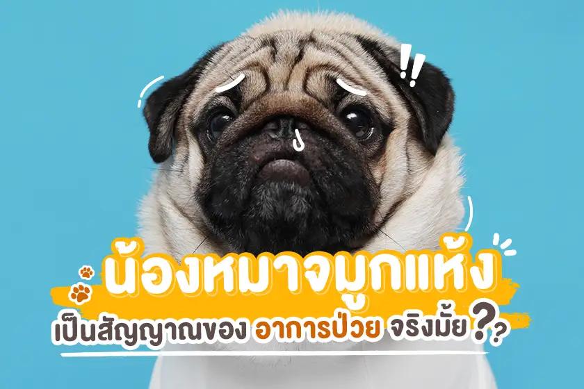 Article Banner