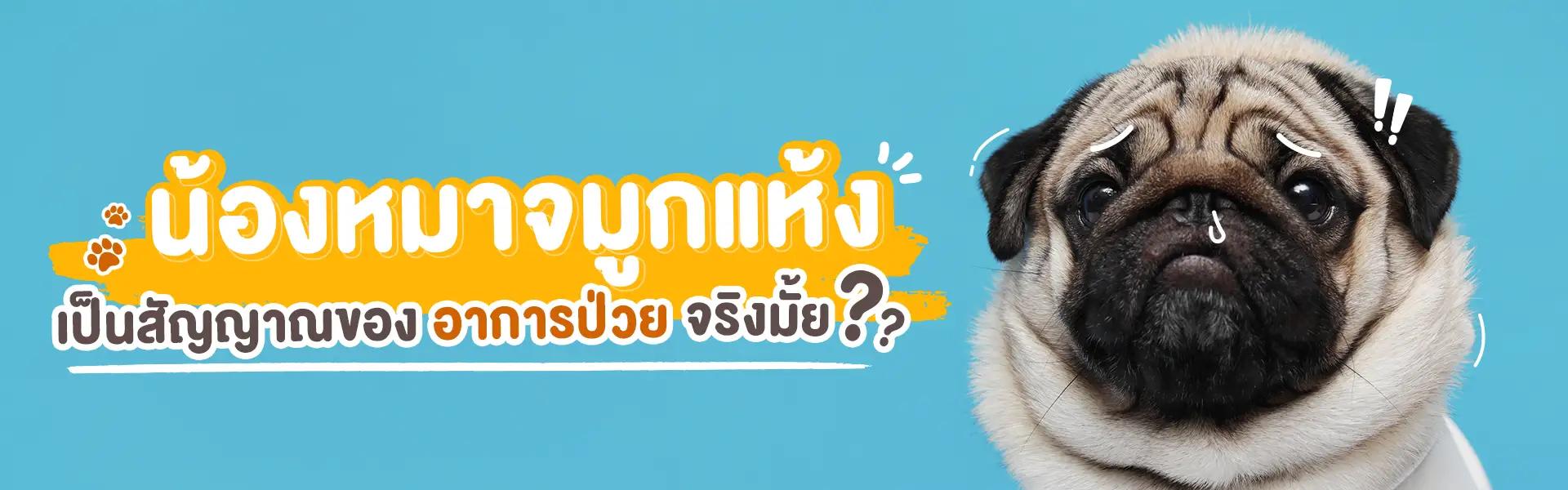 Article Banner