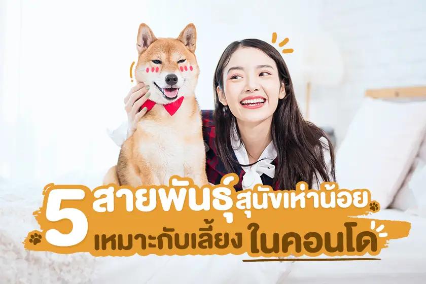 Article Banner