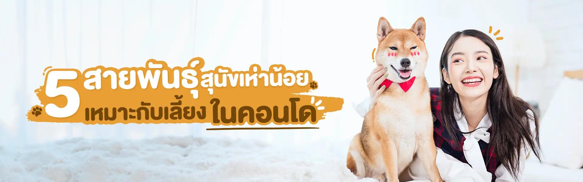 Article Banner