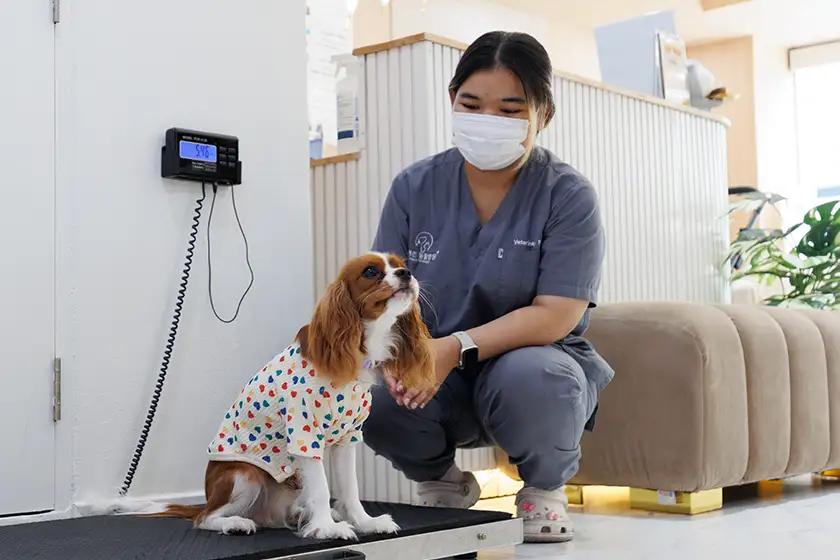 Happy Pet Hospital : Pet Wellness Center แห่งใหม่ใจกลางเมือง นวัตกรรมจากเกาหลี แฮปปี้ในทุกรายละเอียดความใส่ใจ