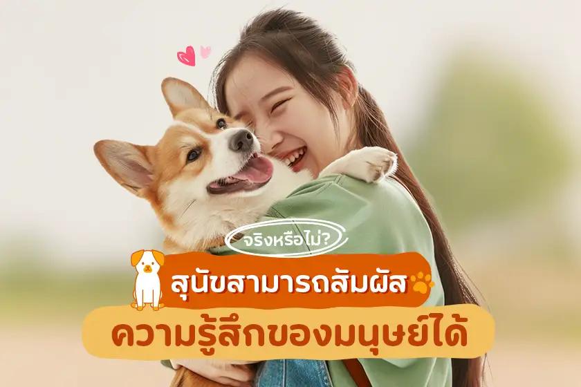 จริงหรือไม่? สุนัขสามารถสัมผัสความรู้สึกของมนุษย์ได้