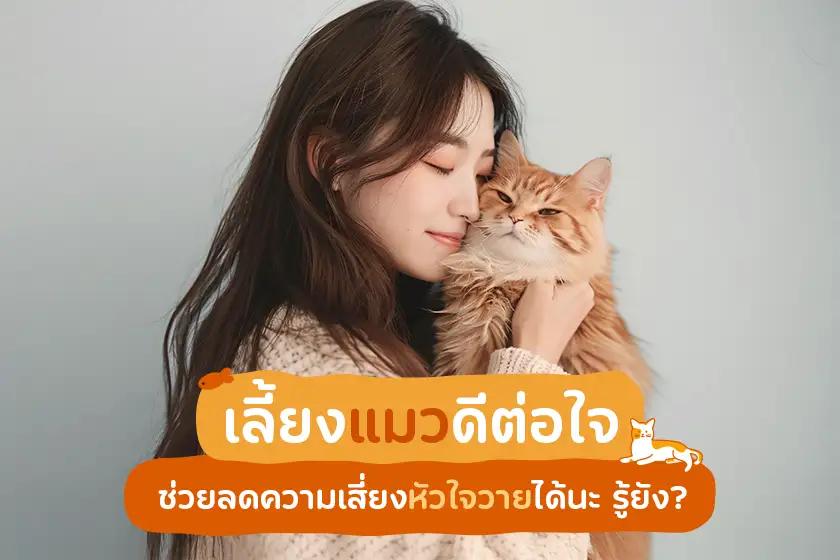 เลี้ยงแมวดีต่อใจ ช่วยลดความเสี่ยงหัวใจวายได้นะรู้ยัง