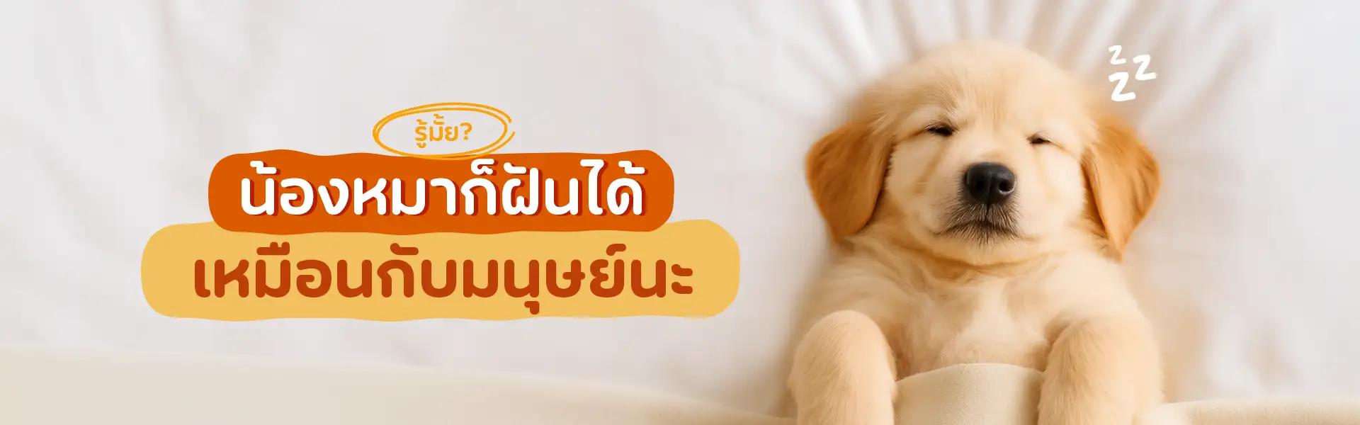 Article Banner