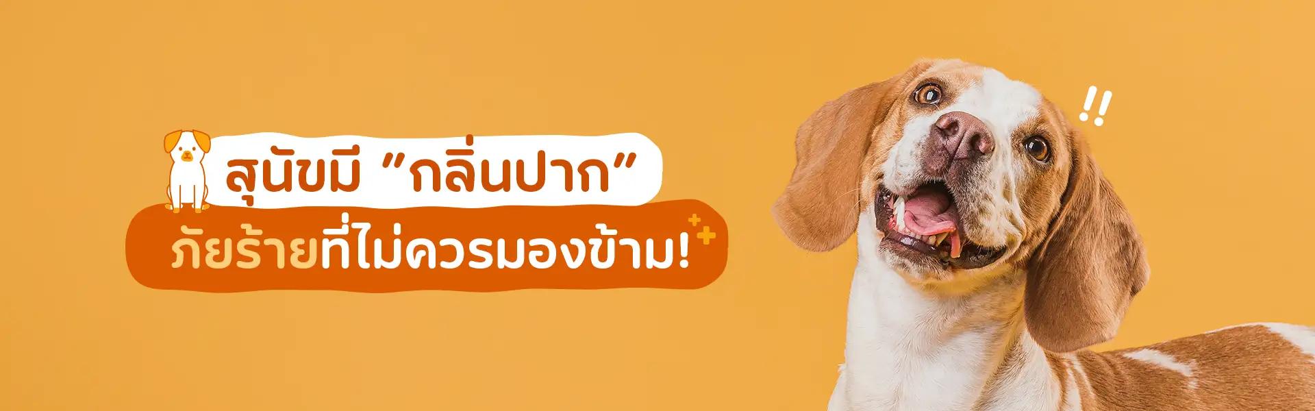 Article Banner