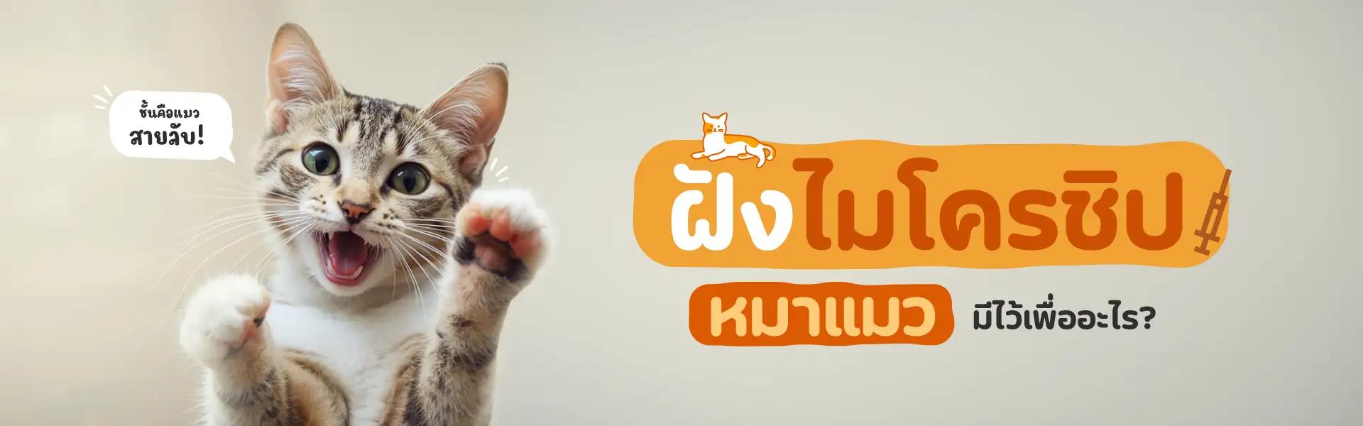 Article Banner