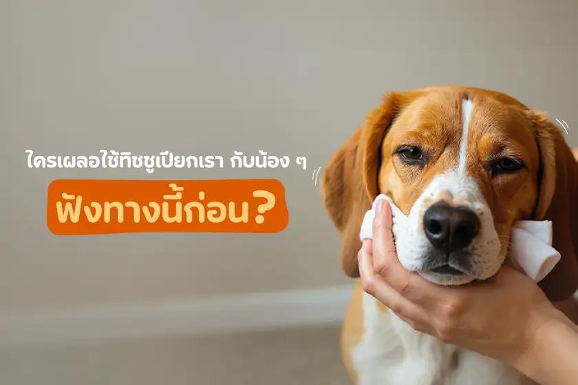 รู้หรือมั้ย ทิชชูเปียกของคนกับน้องๆ ใช้ร่วมกันไม่ได้นะ