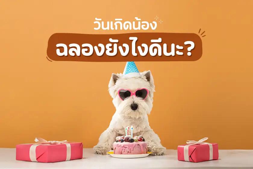 วันเกิดน้อง ฉลองยังไงดีนะ?