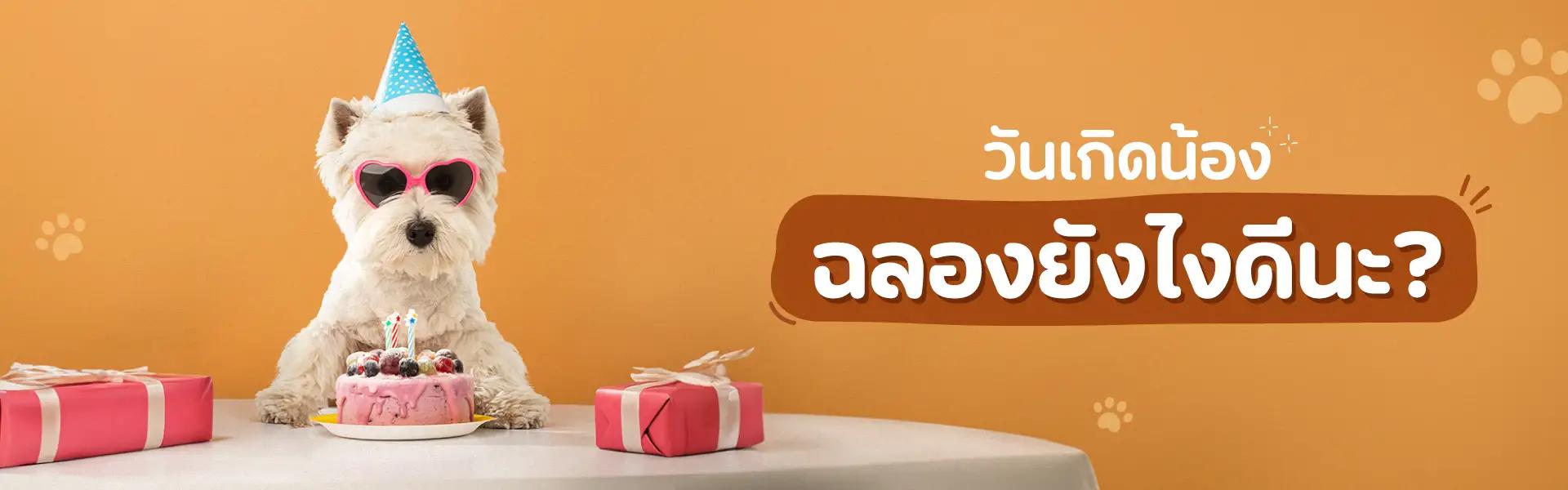 Article Banner