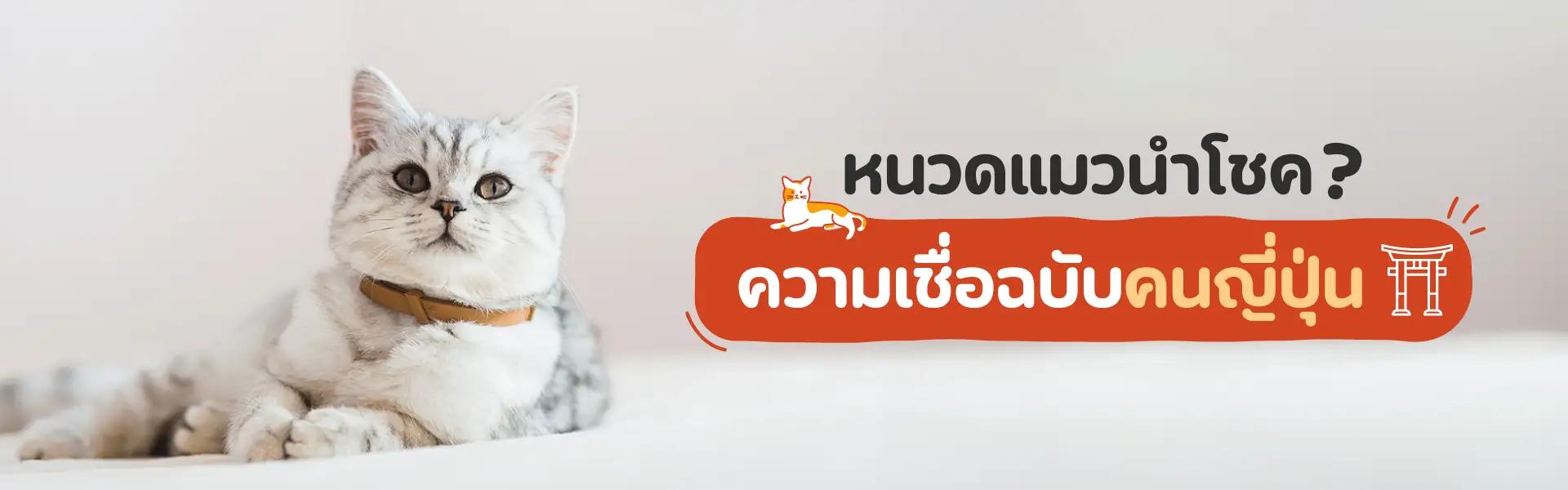 Article Banner