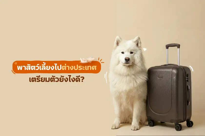 พาสัตว์เลี้ยงไปต่างประเทศ เตรียมตัวยังไงดี?
